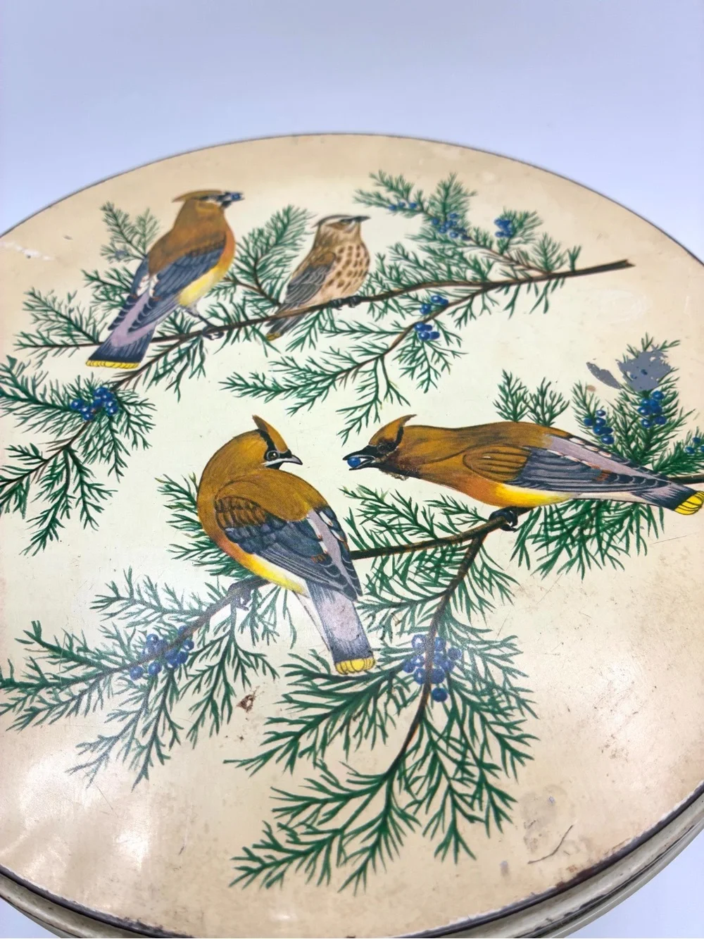Vintage Tom Sturgis Bird Tin Round Metal Storage Box Cottagecore